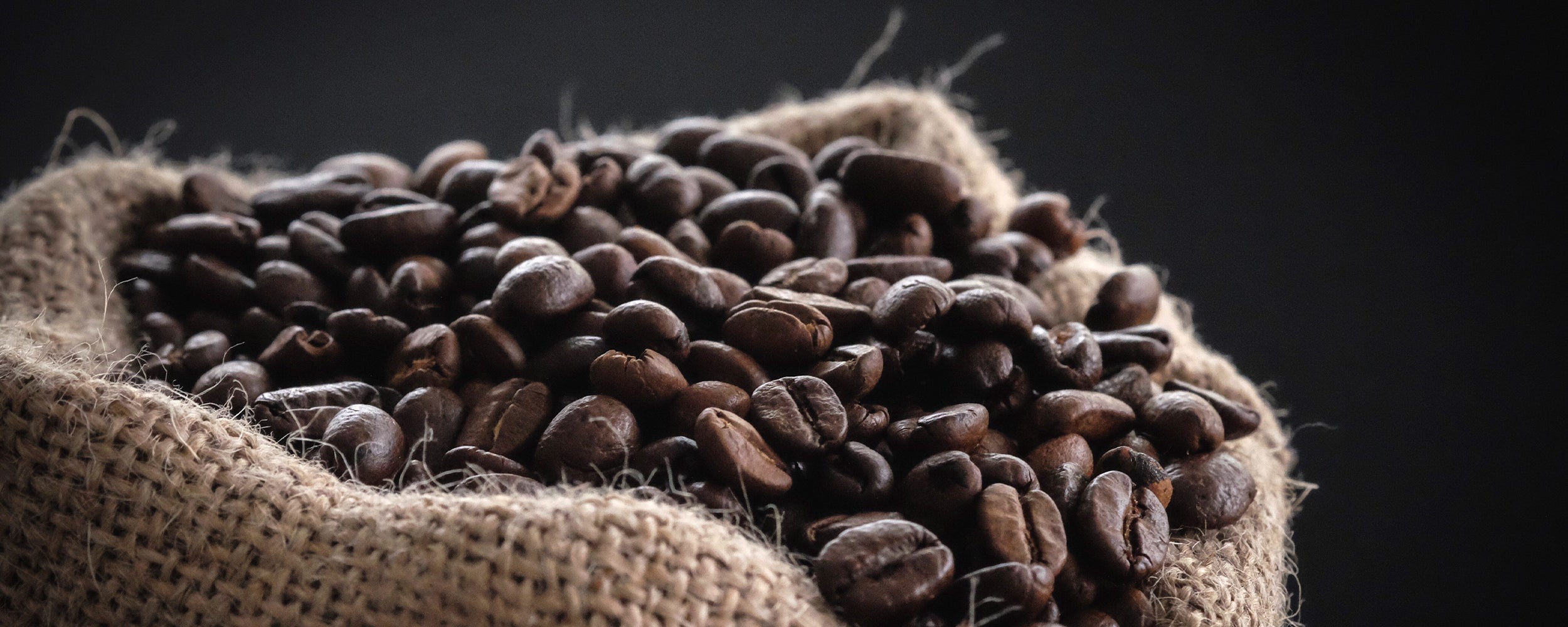 Rise-Coffee-Antioxidants-Good-Bad-Beans